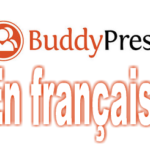 Traduire Buddypress en français