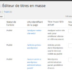 wordpress seo 1