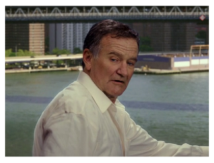 Robin Williams