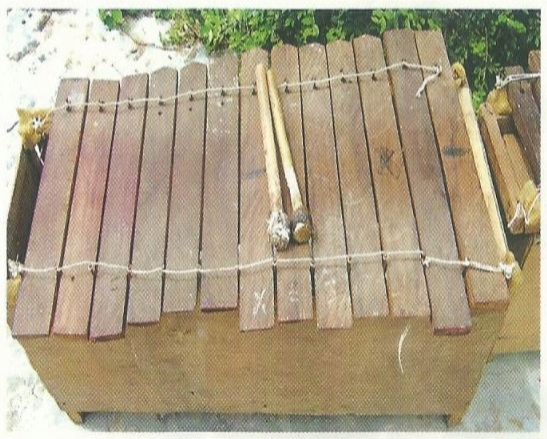 Mendzang me Biang: instrument de musique traditionnelle du Gabon