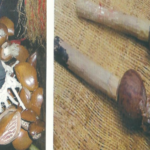 Soki & Bisanza: hochettes et sonailles du Gabon (musique traditionnelle)